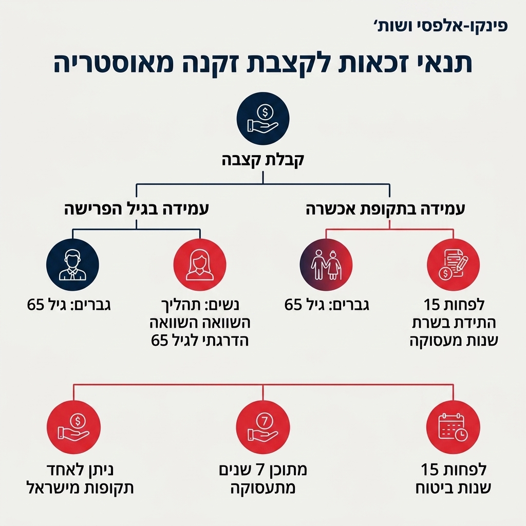 אינפוגרפיקה