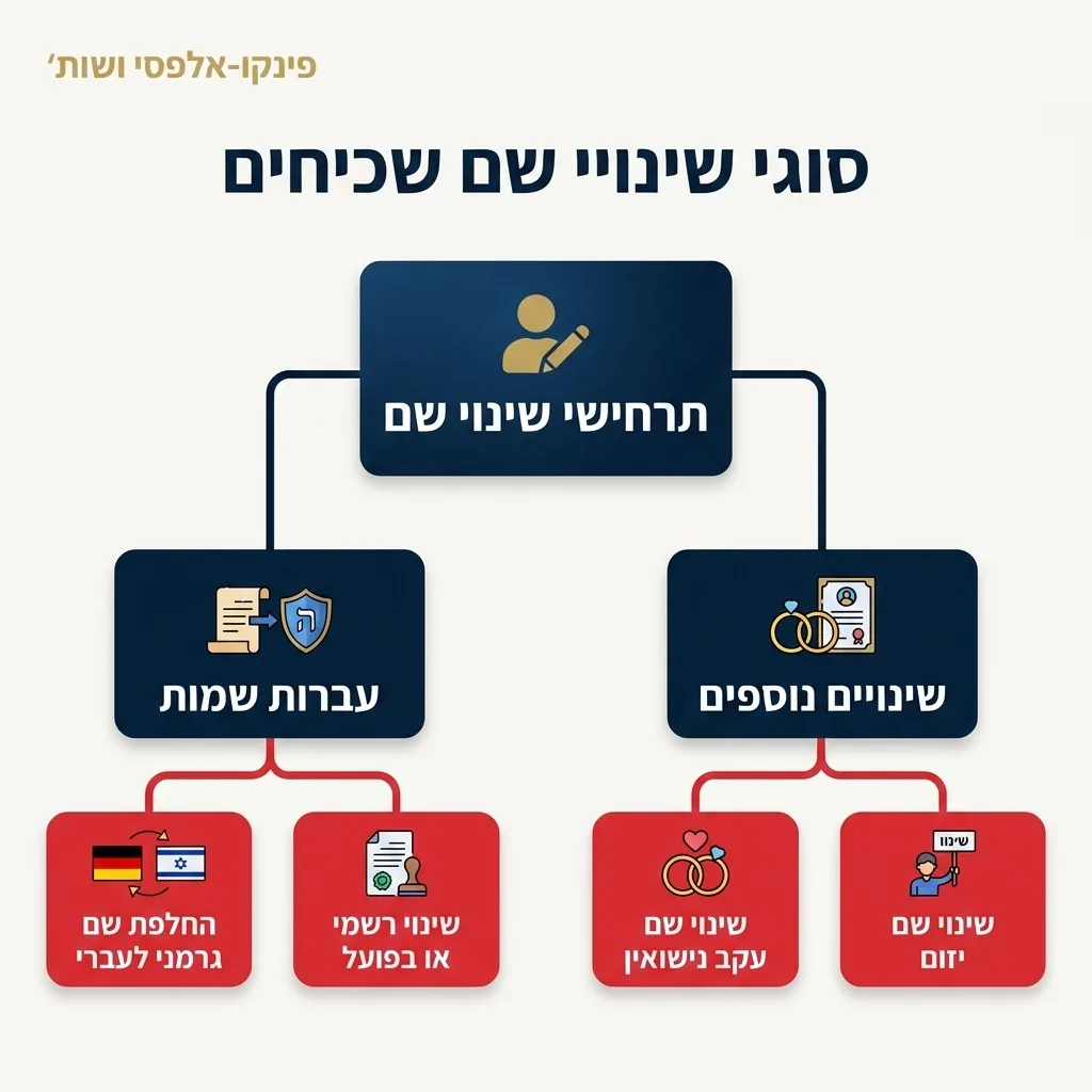אינפוגרפיקה — סוגי שינויי שם שכיחים: תרחישי שינוי שם