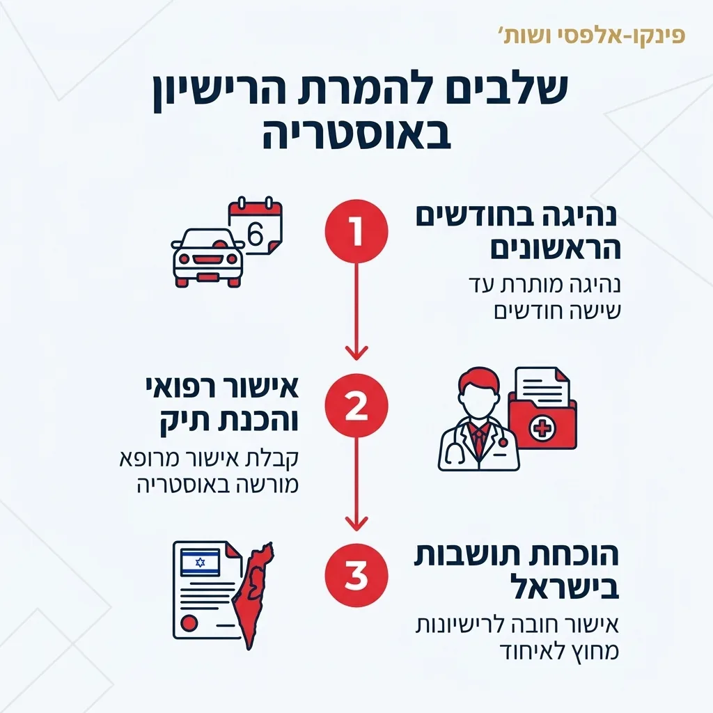 אינפוגרפיקה — שלבים להמרת הרישיון באוסטריה: נהיגה בחודשים הראשונים, אישור רפואי והכנת תיק, הוכחת תושבות בישראל