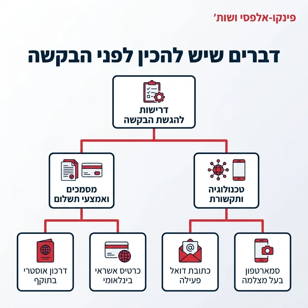 אינפוגרפיקה — דברים שיש להכין לפני הבקשה: דרישות להגשת הבקשה