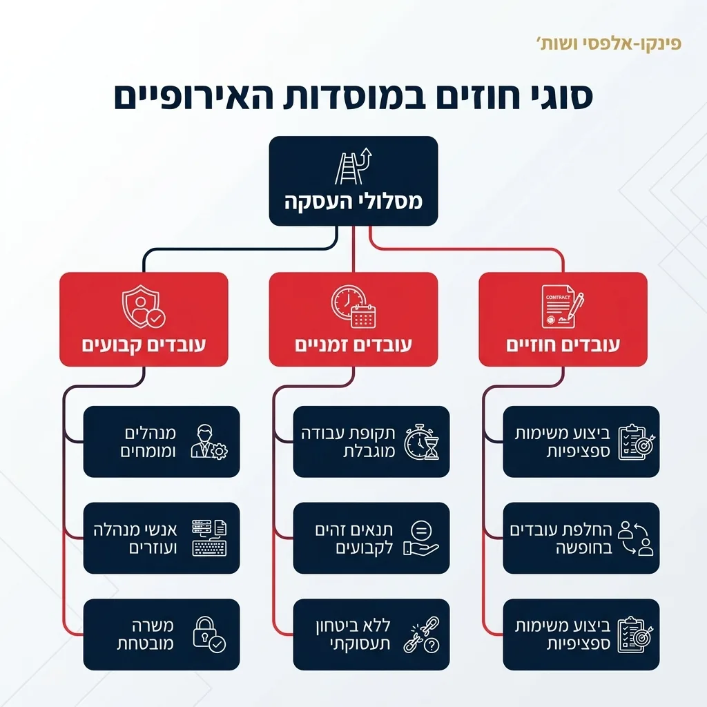 אינפוגרפיקה — סוגי חוזים במוסדות האירופיים: מסלולי העסקה
