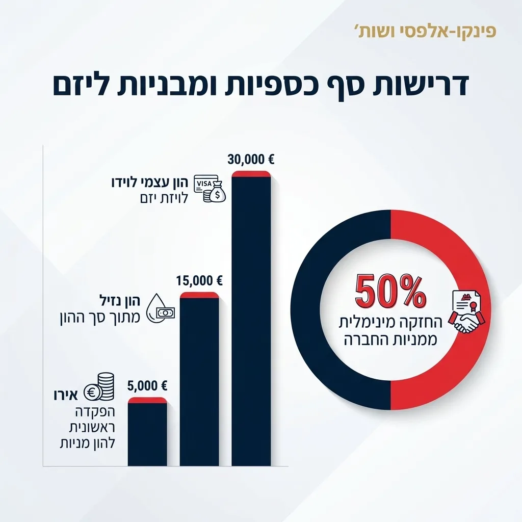 אינפוגרפיקה — דרישות סף כספיות ומבניות ליזם: הפקדה ראשונית להון מניות, הון עצמי לוויזת יזם, הון נזיל מתוך סך ההון, החזקה מיני